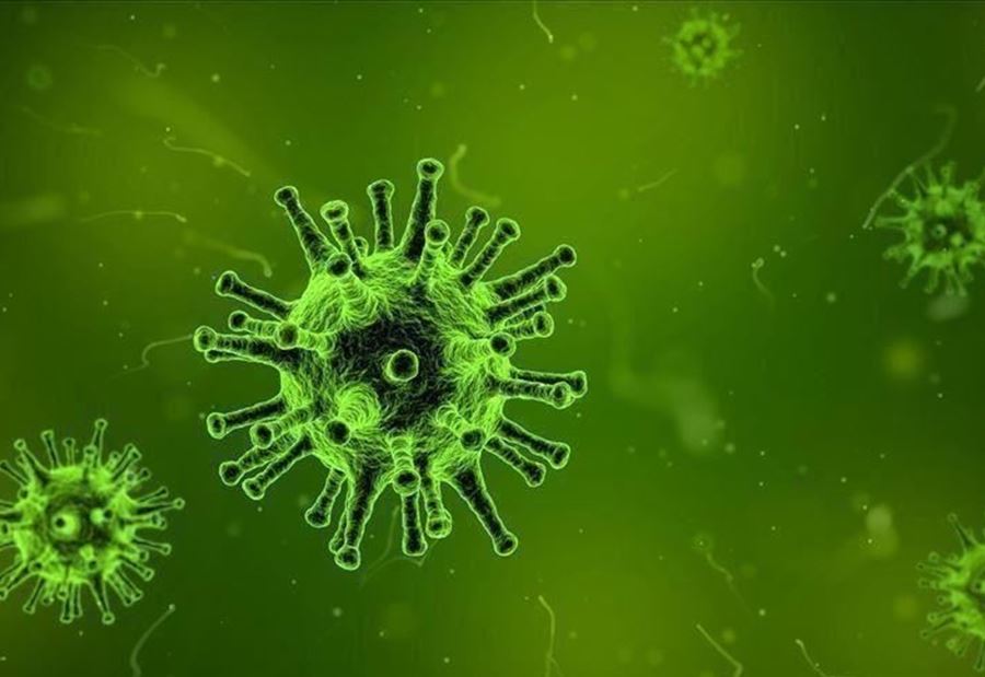 الصحة العالمية: جائحة "كورونا" ستتراجع