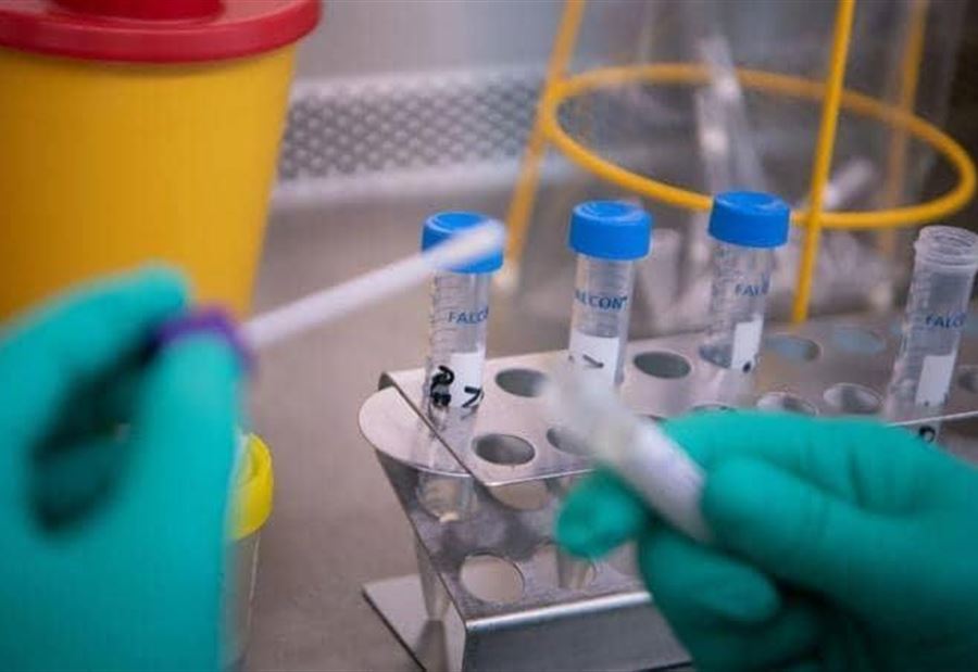 بالفيديو: إعلامية تعلن إصابتها بـ "كورونا"