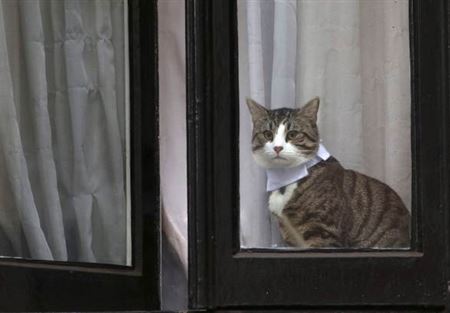 جولة داخل مكان احتجاز مؤسس ويكليكس