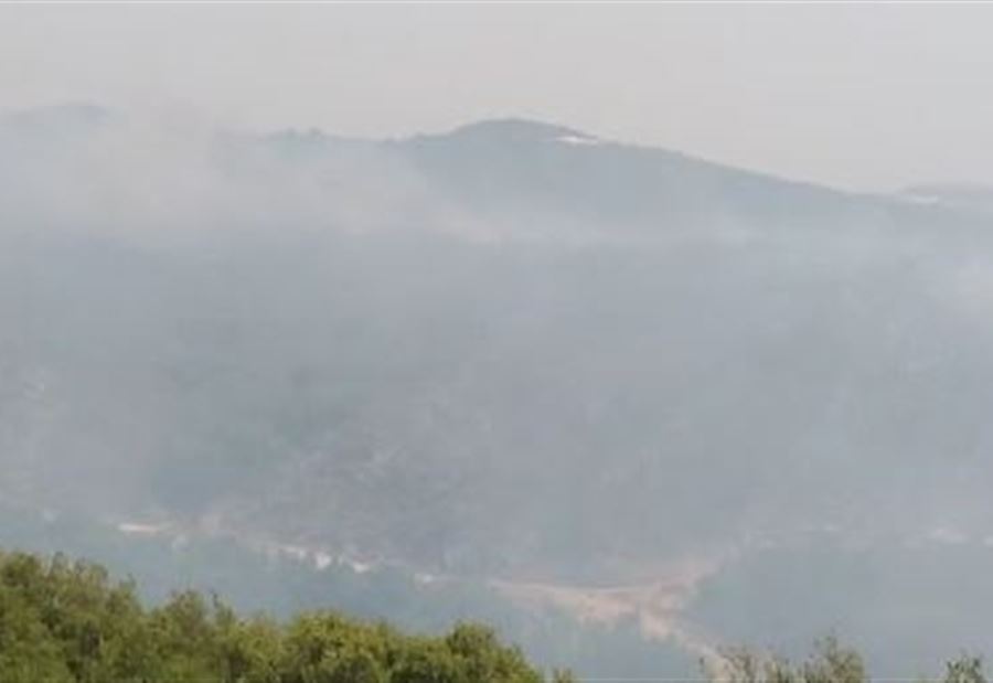 بالفيديو: حريق كبير في أحراج بلدة إده 