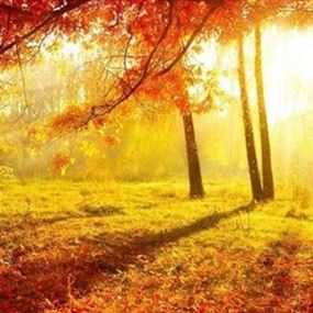 فوضى عالمية في الطقس.. ماذا عن لبنان؟