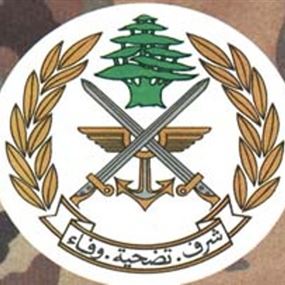 سقوط طائرة للجيش في حديقة منزل في اجدبرا البترونية