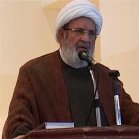 محمد يزبك: لن نقبل بالعودة إلى المارونية السياسية