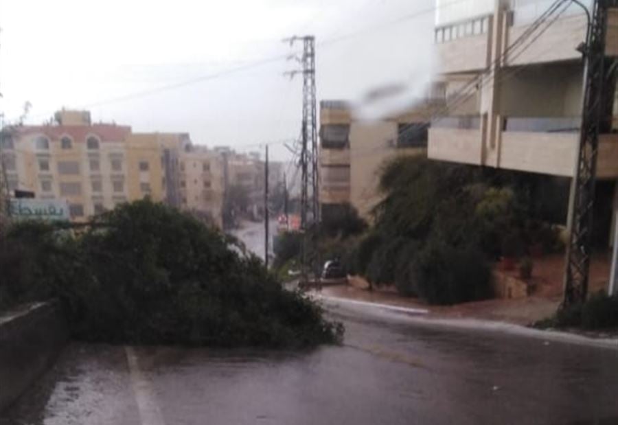 بالصور: هذا ما خلفته "نورما" من أضرار في المناطق!