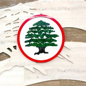 "القوات": العقد ليست عندنا بل عند غيرنا