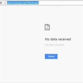 قرصنة موقع وزارة الدفاع السعودية انتقاما للنمر