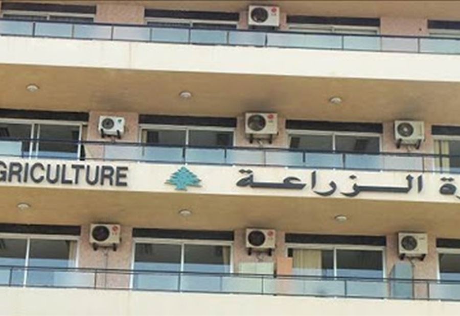 "حشرات طائرة بأعداد هائلة"... وزارة الزراعة توضح!