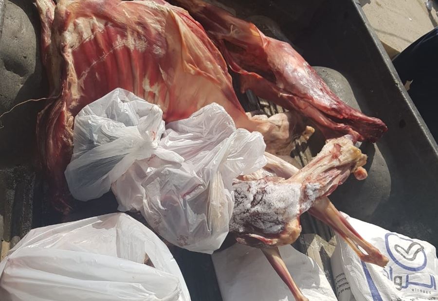 بالصورة: اتلاف لحوم فاسدة في البقاع