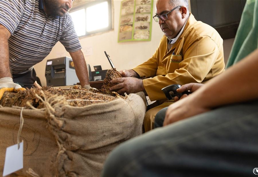 شمالاً وجنوباً... ضبط كميات كبيرة من التبغ المهرب