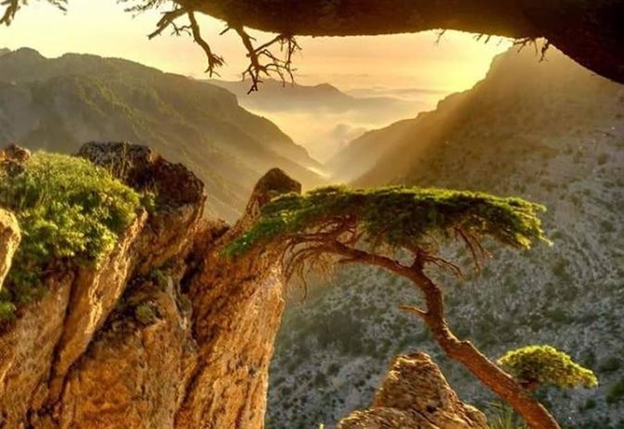 الحرارة تتخطى معدلاتها وتحذير من الحرائق الحرارة تتخطى معدلاتها وتحذير من الحرائق