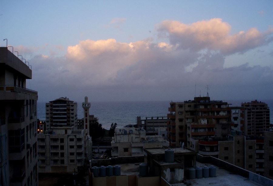 "أخلي سبيله حديثًا"... الجيش يوقف مواطناً في خلدة!