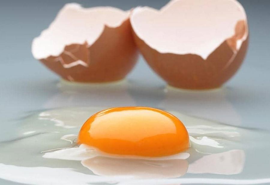 البيض وقوة النظر.. دراسة تكشف "النفع الكبير" البيض وقوة النظر.. دراسة تكشف "النفع الكبير"