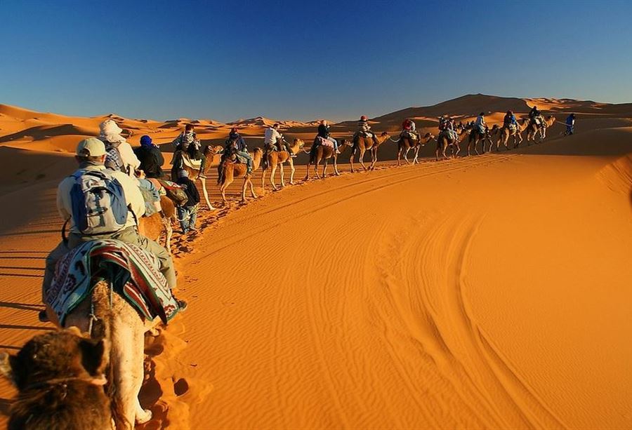 دولة عربية تسجل أعلى درجة حرارة في العالم