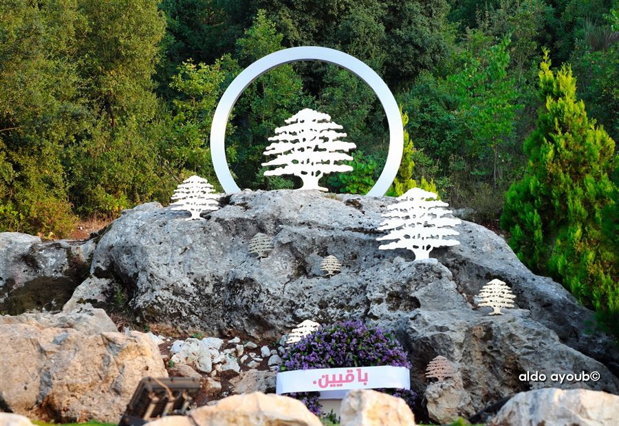 أطباء الأسنان في "القوات": لتأمين الُلقاح المضاد لكورونا أطباء الأسنان في "القوات": لتأمين الُلقاح المضاد لكورونا