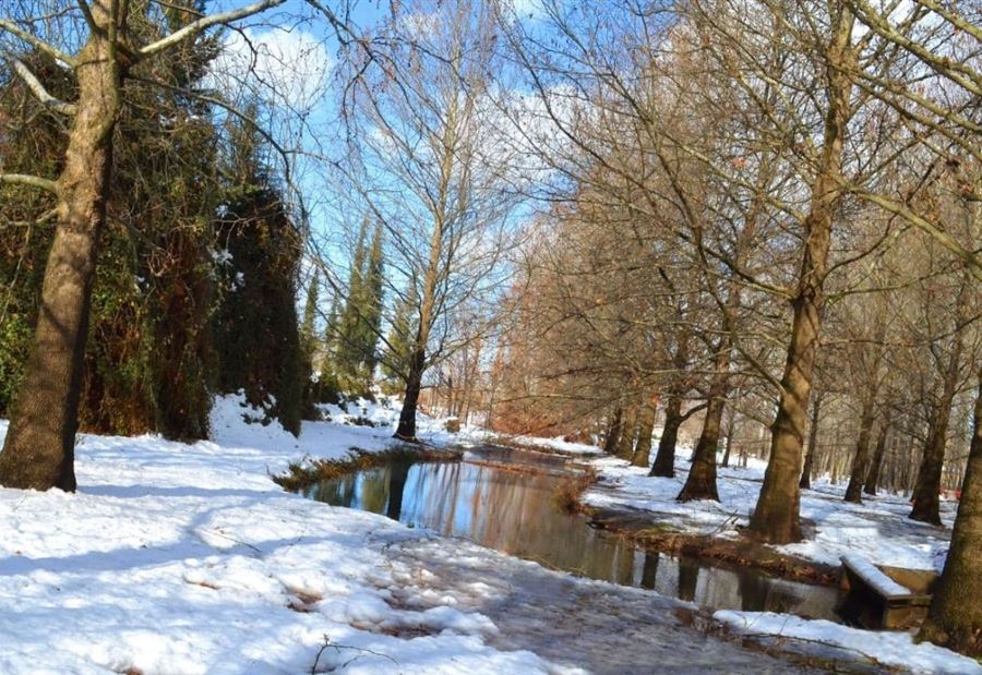 لبنان على موعد مع منخفض جوي "سريع" بدءاً من اليوم!