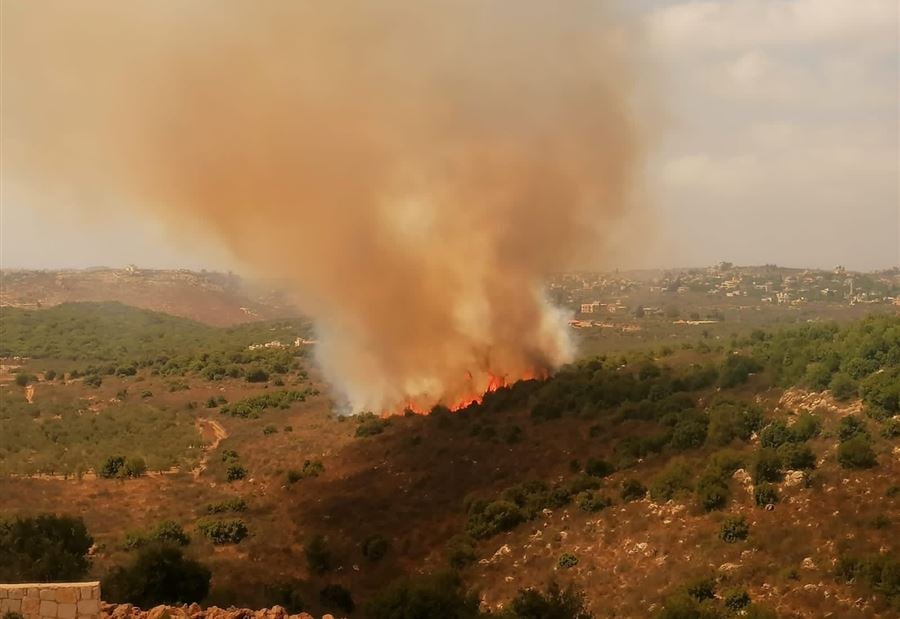 "كارثة بيئية"... حريق "هائل وغير بريء" في الجنوب
