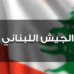 الجيش: طائرة معادية خرقت الاجواء