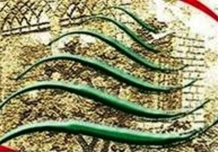 الحركة البيئية: حل ازمة النفايات ممكن محليا