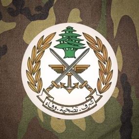 الجيش: دورية معادية القت 3 قنابل دخانية في الوزاني