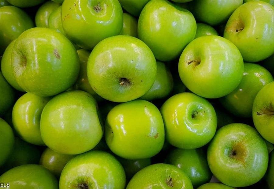 العثورُ على "نوع غريب وجديد" من التفاح العثورُ على "نوع غريب وجديد" من التفاح