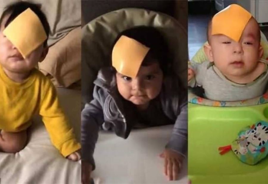 "حمى الجبنة" تجتاح الإنترنت "حمى الجبنة" تجتاح الإنترنت