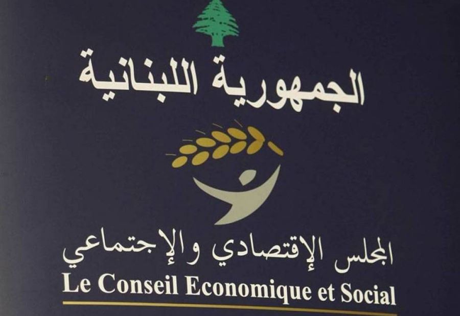المجلس الاقتصادي والاجتماعي في غيبوبة
