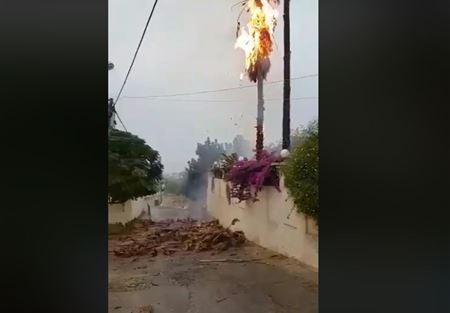 بالفيديو: صاعقة تضرب شجرة وتحرقها في القليلة