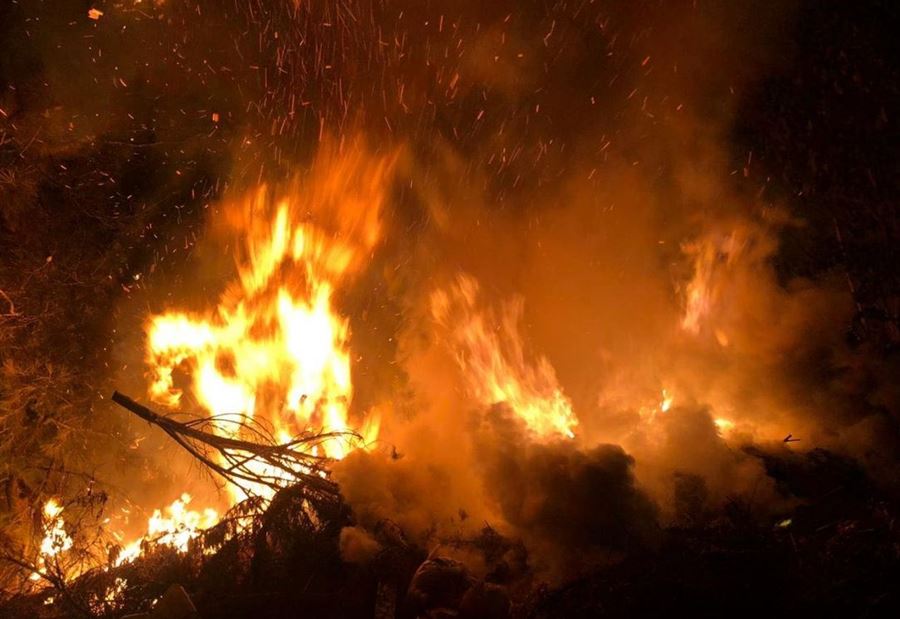 الحرارة ستتجاوز الـ 37 درجة... "احذروا الحرائق"