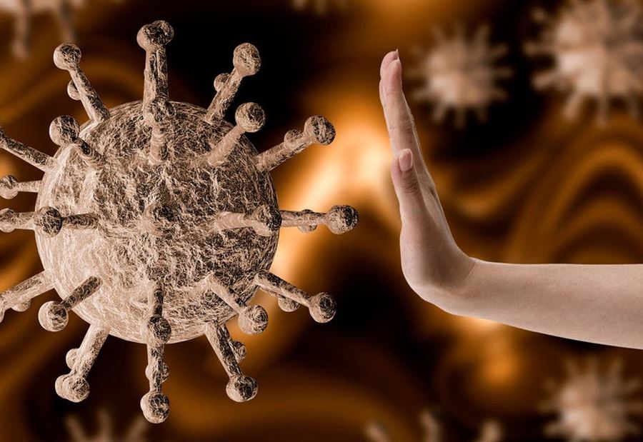 قصة "نيباه" الذي بدأوا يحذّرون من عودته كوباء عالمي