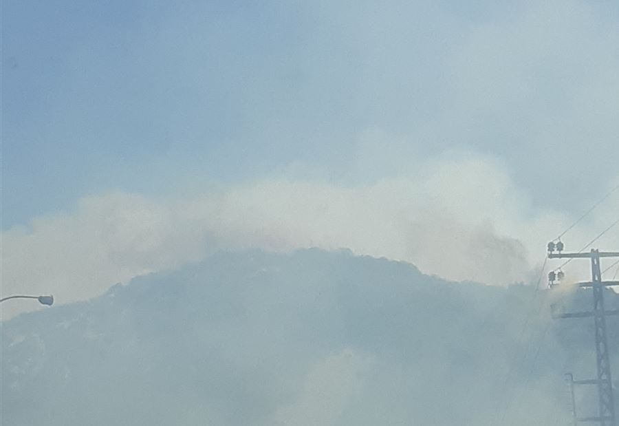 حريقٌ كبيرٌ بين حامات وأوتوستراد البترون