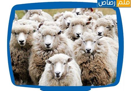 كيف تعرف أنّك حقير؟