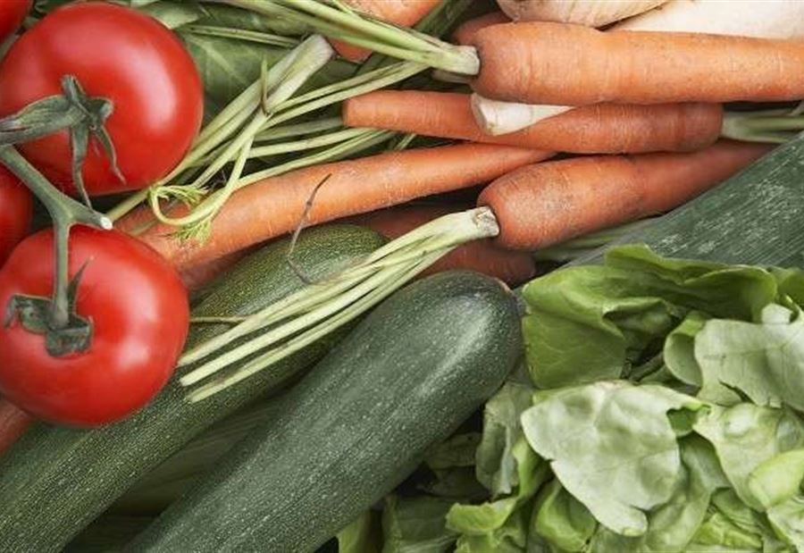 النظام الغذائي النباتي يفيد في علاج السكري النظام الغذائي النباتي يفيد في علاج السكري