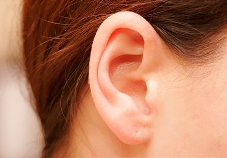 أعضاء يمكن الاستغناء عنها دون أن نخسر حياتنا.. ما هي؟
