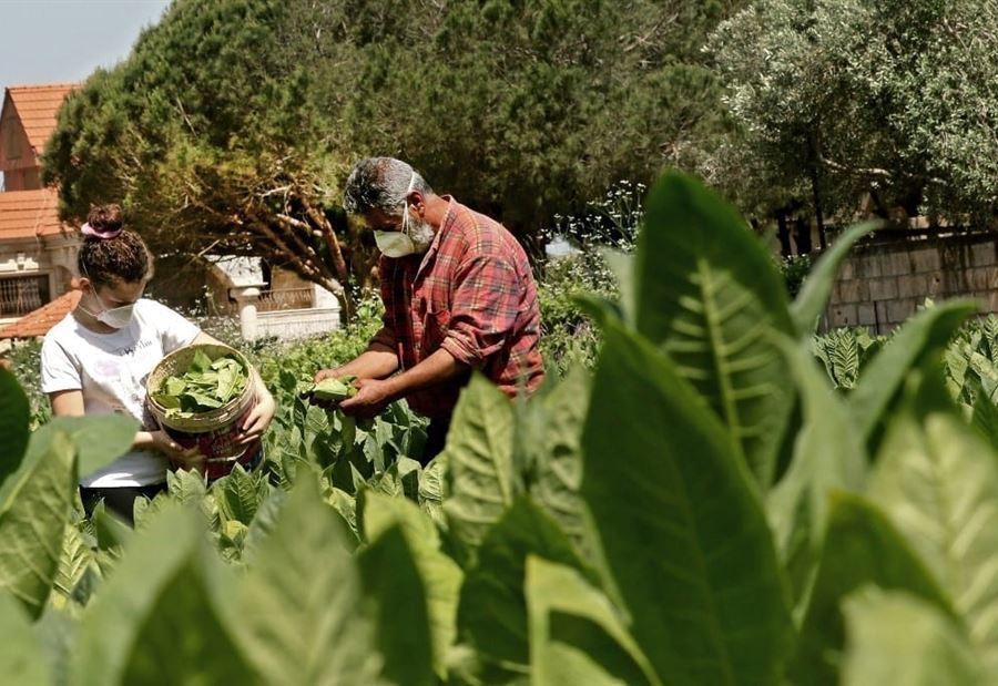 هؤلاء أمام واقع قاسٍ... والتحدي الأكبر يكمن هنا! هؤلاء أمام واقع قاسٍ... والتحدي الأكبر يكمن هنا!
