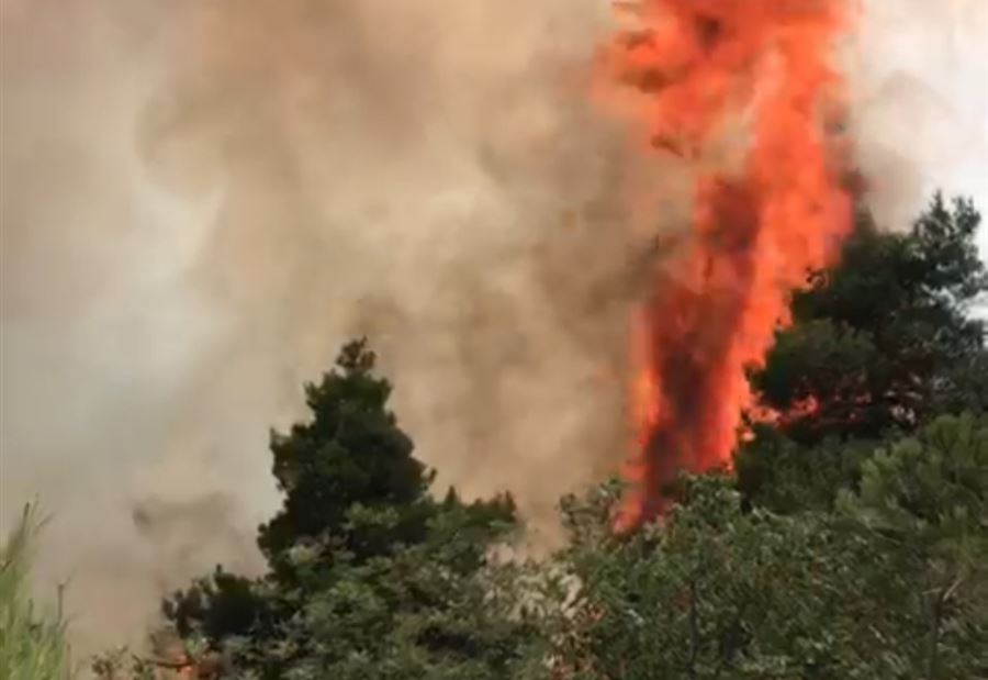 حريقٌ كبير في خراج عندقت - عكار (فيديو)