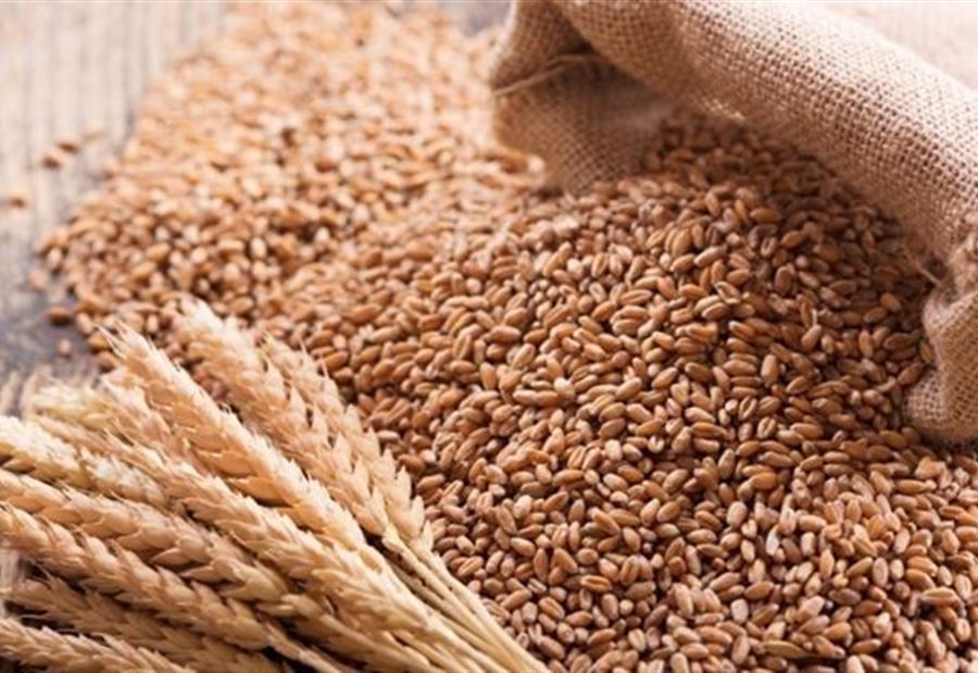 تجمع المطاحن: تأمين حاجة لبنان من القمح لـ6 أشهر