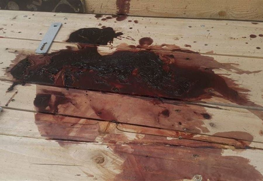 صور حصرية ومعلومات يرويها شاهد عيان... تفاصيل جريمة "زحلة"