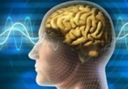 اكتشاف الجين المسؤول عن الجلطة الدماغية اكتشاف الجين المسؤول عن الجلطة الدماغية