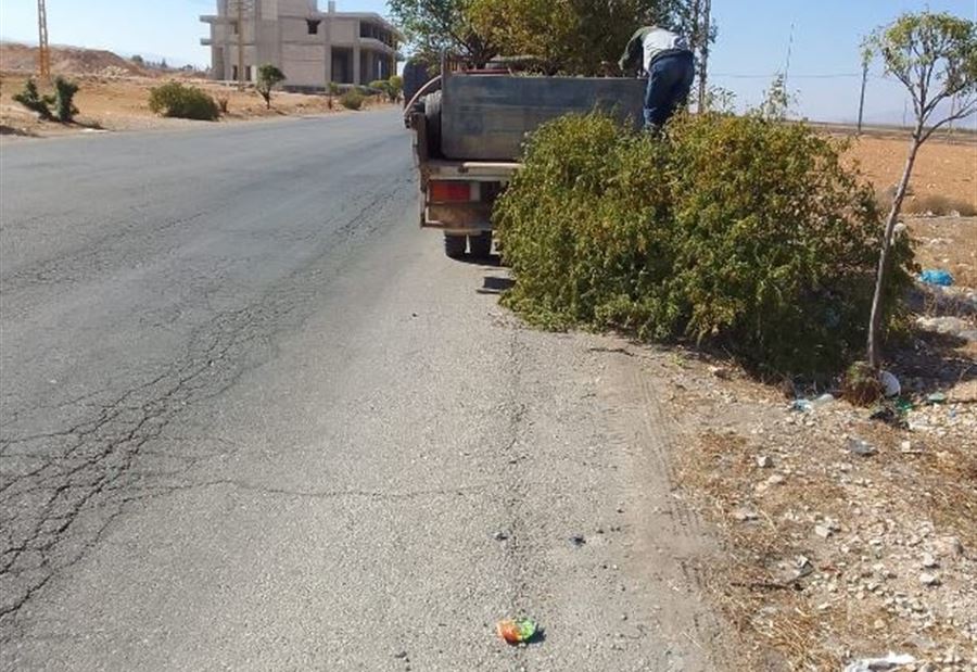 جريمة بيئية في وضح النهار