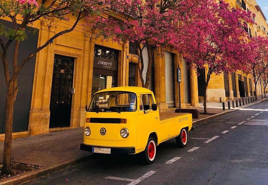 طقس ربيعي يسيطر على لبنان