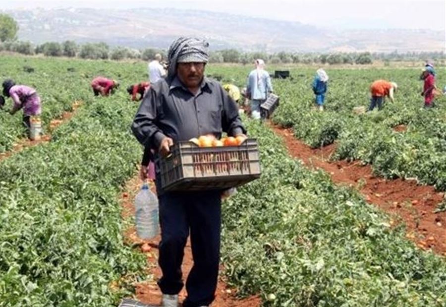 "مزارعو الجنوب": لضرورة استلام المازوت بسعر الدولة "مزارعو الجنوب": لضرورة استلام المازوت بسعر الدولة