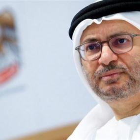 قرقاش يتفق مع رئيس وزراء قطر السابق حمد بن جاسم!