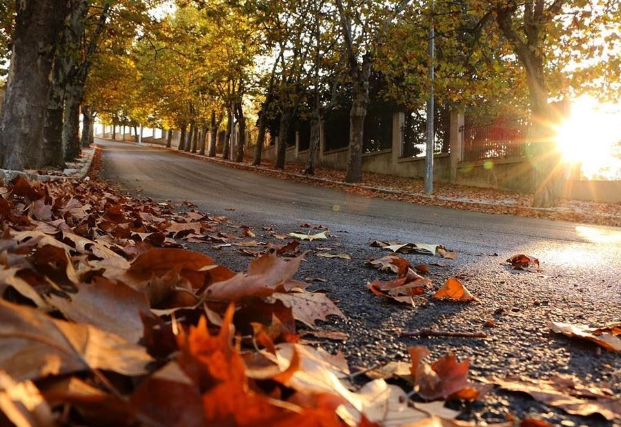 اليكم طقس الـ "Weekend"