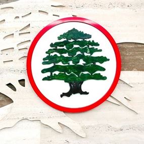 القوات: لسنا معنيين بكل ما أثير حول تغيير مذهب أو غيره  القوات: لسنا معنيين بكل ما أثير حول تغيير مذهب أو غيره