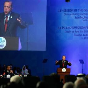 أردوغان: نحتاج إلى الوحدة لتجاوز الصعوبات 