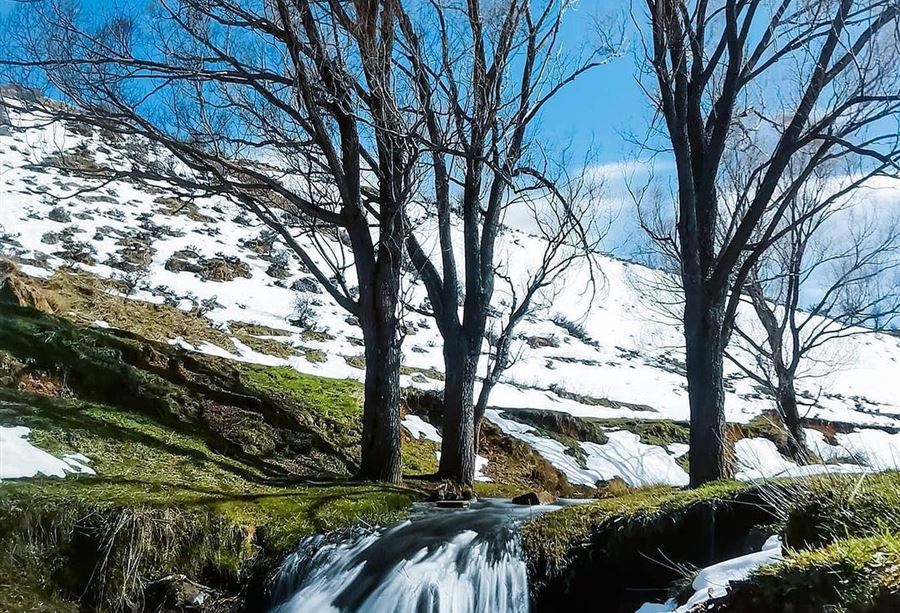 منخفض جويّ جديد يضرب لبنان! 