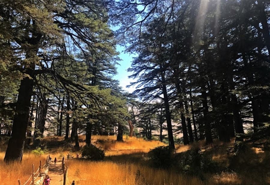 متى ستنخفضُ الحرارة؟ متى ستنخفضُ الحرارة؟