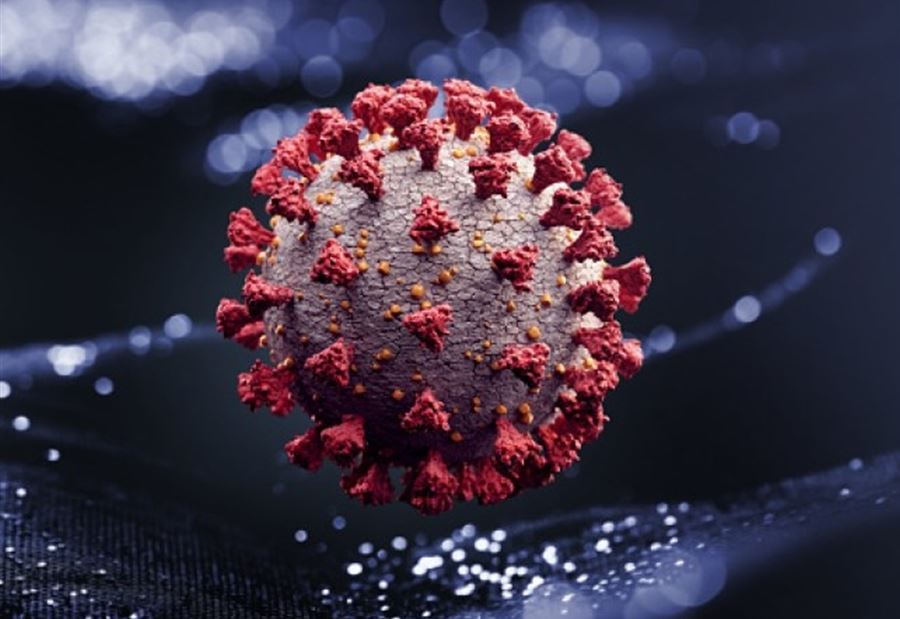 "كورونا" يمكن أن يسافر 8 أمتار في "مصانع اللحوم" "كورونا" يمكن أن يسافر 8 أمتار في "مصانع اللحوم"