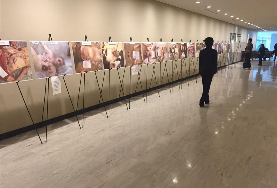 سفيرٌ لـ"قيصر" سفيرٌ لـ"قيصر"