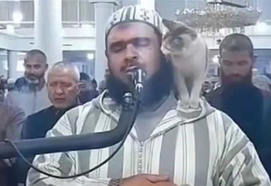 فيديو "يثير التفاعل"... قطة  تقفز وتجلس على كتف شيخ أثناء الصلاة
